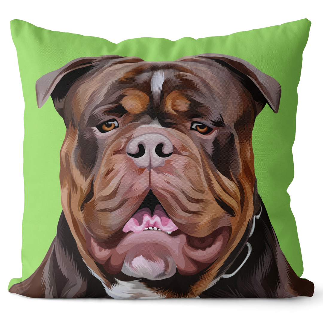 Personalized Pet Pillows