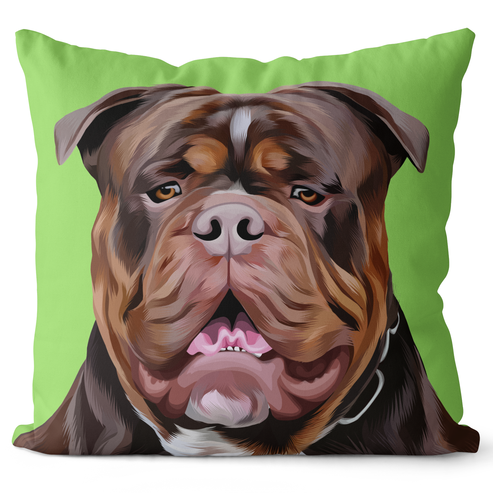 Personalized Pet Pillows