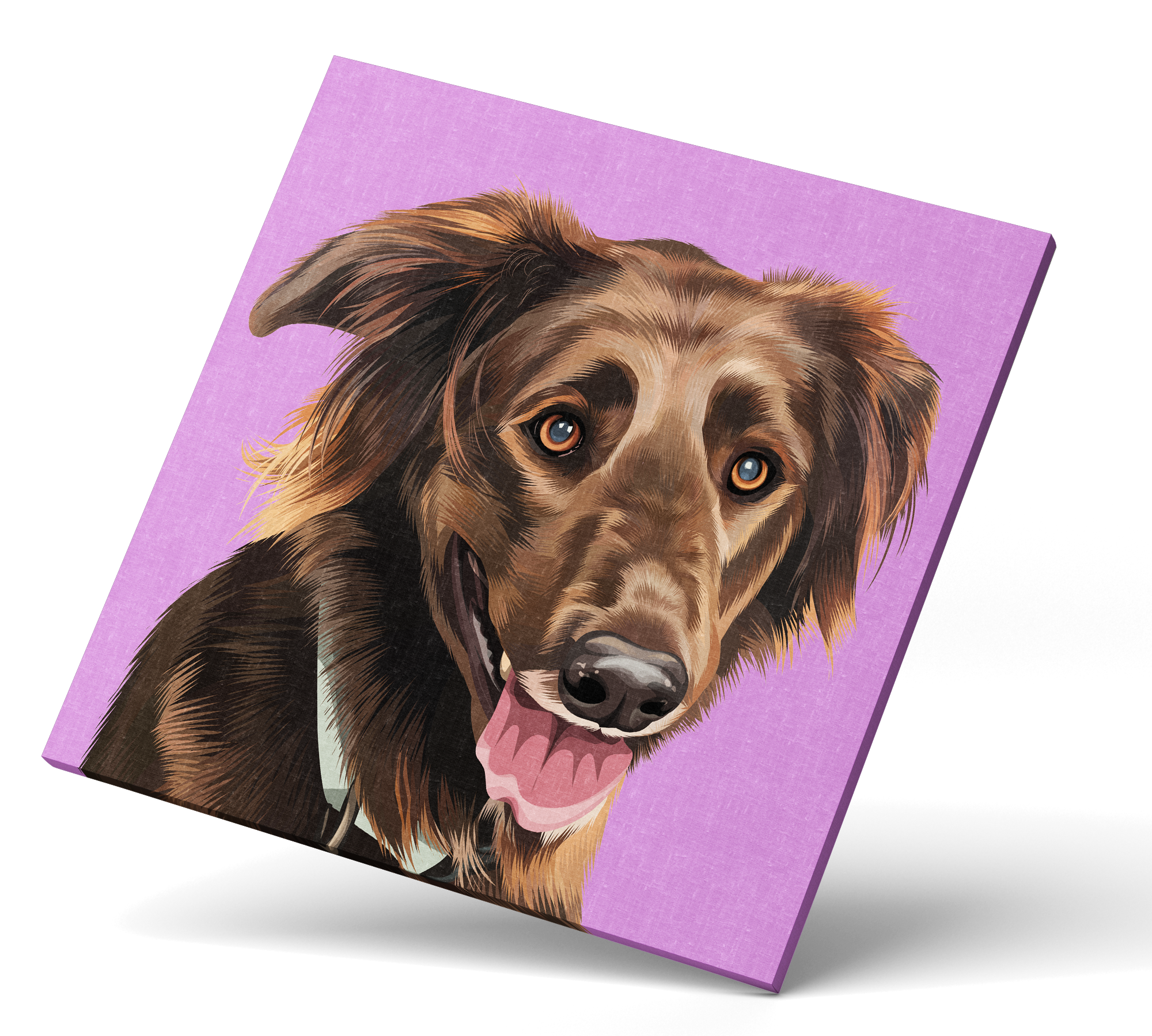 Personalized Pet Portraits
