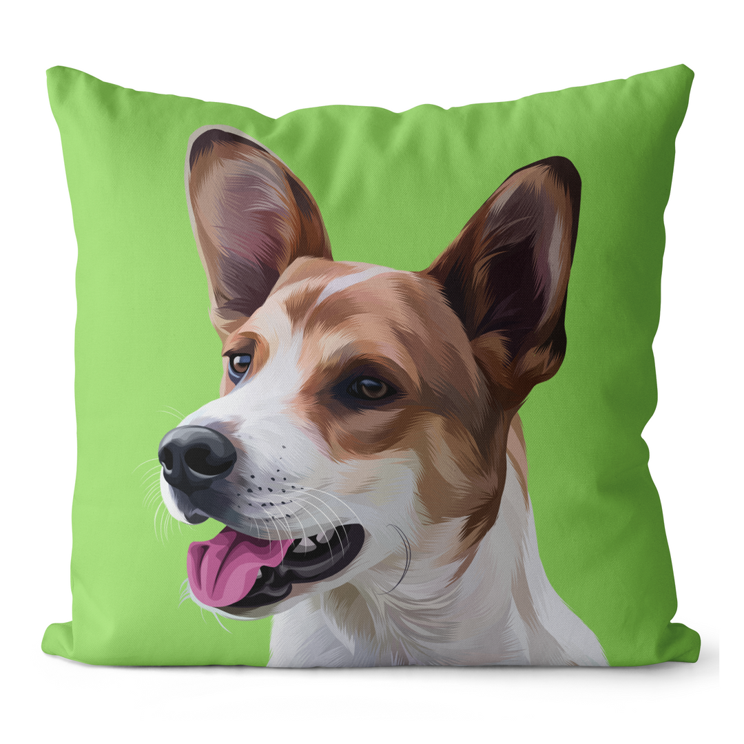 Personalized Pet Pillow