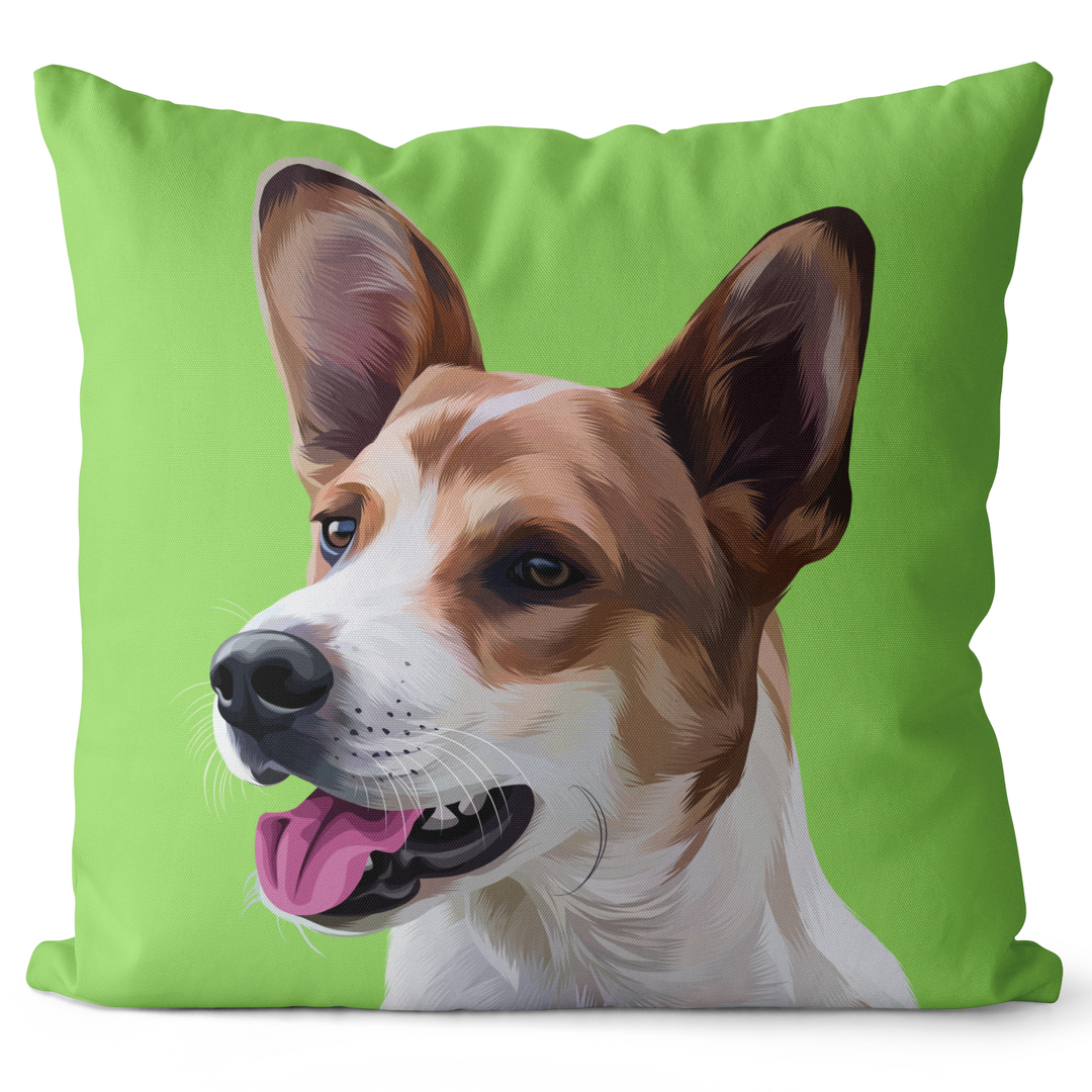Personalized Pet Pillow