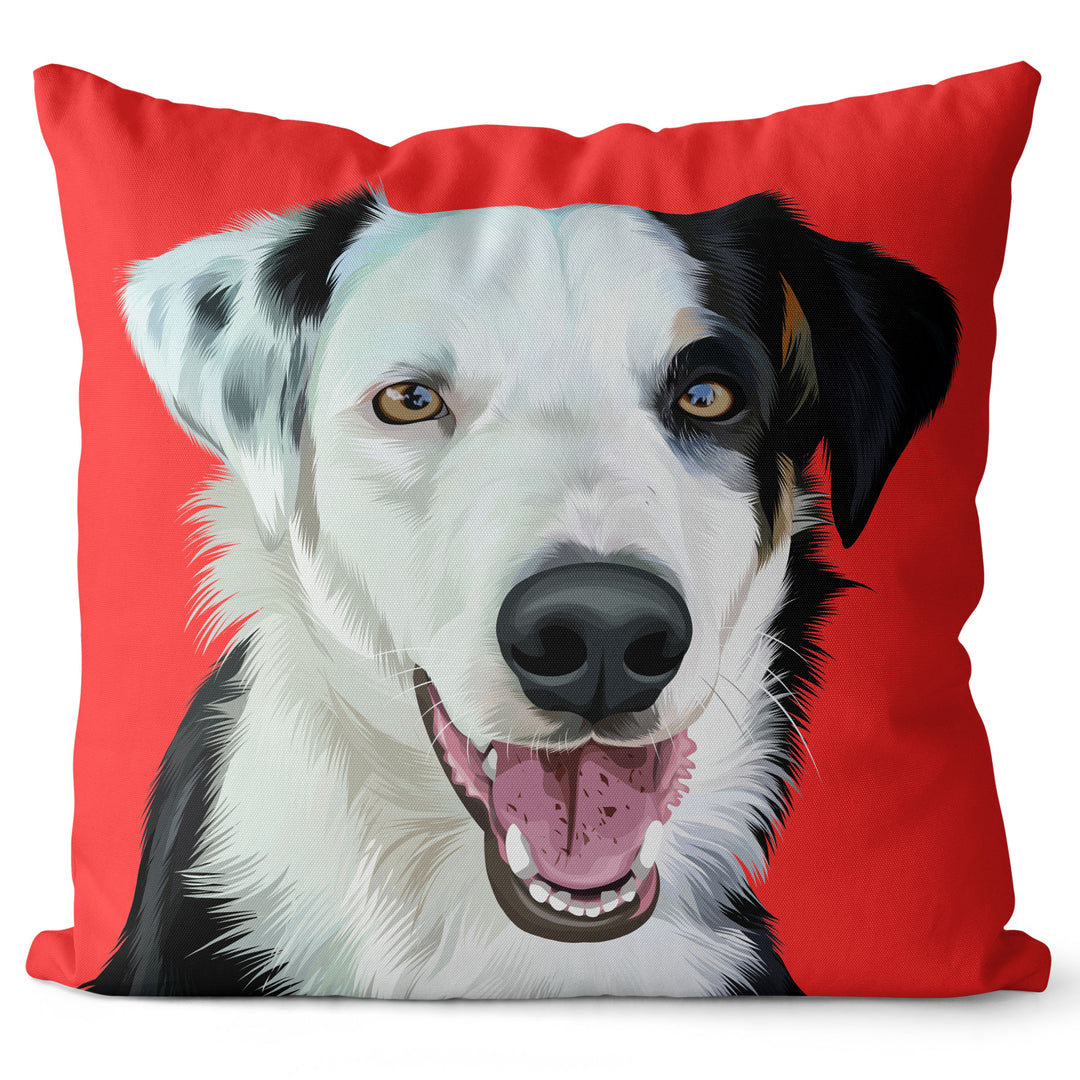 Personalized Pet Pillow
