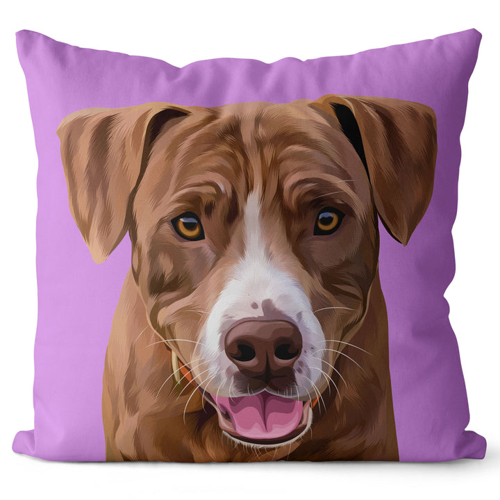 Personalized Pet Pillow